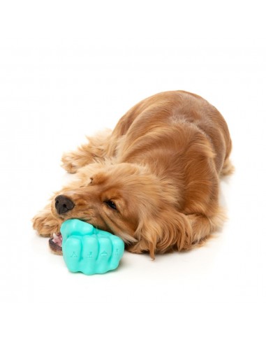 Leckerli-Spielzeug für Hunde FuzzYard Knuckle Sandwich