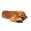 Hundespielzeug FuzzYard Mic Drop mit Seil und Quietscher