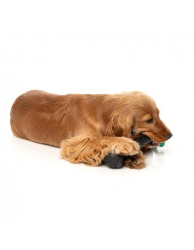 Hundespielzeug FuzzYard Mic Drop mit Seil und Quietscher