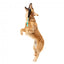 Hundespielzeug FuzzYard Mic Drop mit Seil und Quietscher