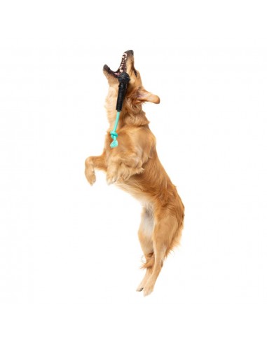 Hundespielzeug FuzzYard Mic Drop mit Seil und Quietscher