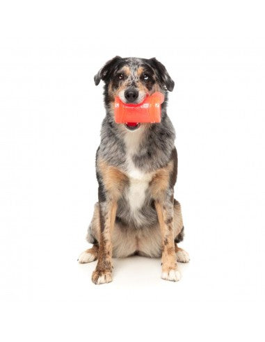 Einfrierbares Schleckspielzeug für Hunde FuzzYard Piña Coolada Freeze