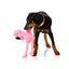 FuzzYard Kuscheltier Hund Nasties Flo mit Quietscher (Größe L)