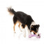 Kuscheltier für Hunde FuzzYard Neck Minnits Neckita Lama mit Stretchhals