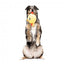 Plüsch-Hundespielzeug FuzzYard Noggins Hen Diesel mit Quietscher
