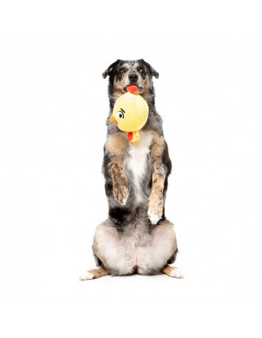 Plüsch-Hundespielzeug FuzzYard Noggins Hen Diesel mit Quietscher
