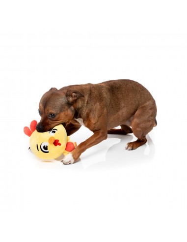 Plüsch-Hundespielzeug FuzzYard Noggins Hen Diesel mit Quietscher