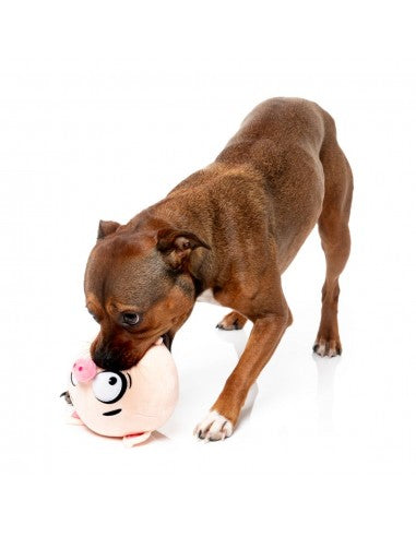 Plüsch-Hundespielzeug FuzzYard Noggins Snoop Hogg mit Quietscher