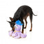Plüsch-Hundespielzeug FuzzYard Octo-Pose Hip Hoptapus Krake mit Quietscher