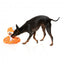 Plüsch-Hundespielzeug FuzzYard Octo-Pose Sailor Squiggles Krake mit Quietscher