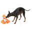 Plüsch-Hundespielzeug FuzzYard Octo-Pose Sailor Squiggles Krake mit Quietscher