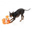 Plüsch-Hundespielzeug FuzzYard Octo-Pose Sailor Squiggles Krake mit Quietscher