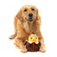 FuzzYard Kuscheltier Hund Ente Amelia Quackhart (Größe S)