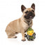 Plüsch-Hundespielzeug FuzzYard Commanduck Ente mit Quietscher