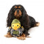 Plüsch-Hundespielzeug FuzzYard Commanduck Ente mit Quietscher