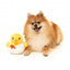Plüsch-Hundespielzeug FuzzYard Cupid Duck Ente mit Quietscher
