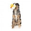 Plüsch-Hundespielzeug FuzzYard Cupid Duck Ente mit Quietscher