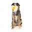 Plüsch-Hundespielzeug FuzzYard Cupid Duck Ente mit Quietscher