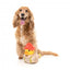 Plüschspielzeug für Hunde FuzzYard Ente Firequacker mit Quietscher