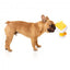 Plüschspielzeug für Hunde FuzzYard Ente Gordon Quacksay mit Quietscher