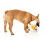 Plüschspielzeug für Hunde FuzzYard Ente Gordon Quacksay mit Quietscher