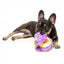 FuzzYard Kuscheltier Hund Ente Sirius Quack (Größe S)