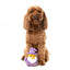 FuzzYard Kuscheltier Hund Ente Sirius Quack (Größe S)