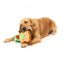 Plüschspielzeug für Hunde FuzzYard Avocado und Toast, 2er-Set