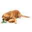 Plüschspielzeug für Hunde FuzzYard Avocado und Toast, 2er-Set