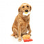 Plüschspielzeug für Hunde FuzzYard Dog's Breakfast, 3er-Set
