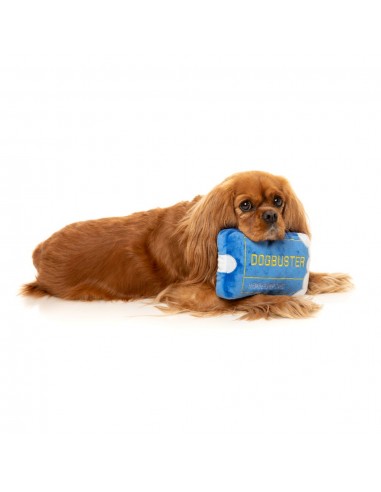 Kuscheltier für Hunde FuzzYard Retro Dogbuster Card mit Quietscher