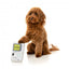 Kuscheltier für Hunde FuzzYard Retro Game Dog mit Quietscher