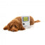 Kuscheltier für Hunde FuzzYard Retro Game Dog mit Quietscher