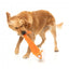 Plüsch-Hundespielzeug mit Quietscher FuzzYard The Yeetz Farewell Fox