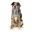 Plüsch-Hundespielzeug mit Quietscher FuzzYard The Yeetz Rack Off Rat