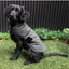 Gesteppte Hundeweste FuzzYard Life Slate Grey