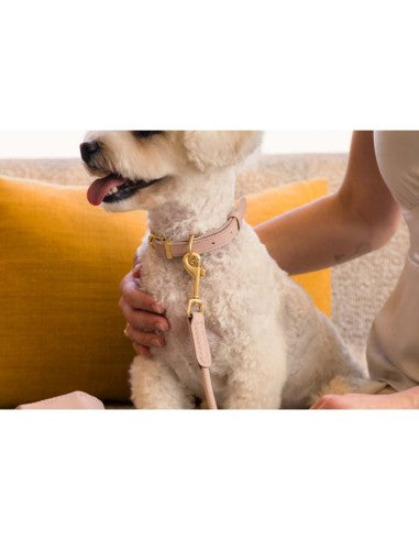 FuzzYard Life Atelier Soft Blush geflochtene Hundeleine (Größe S)