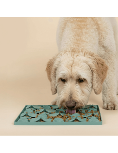 Schleckmatte für Hunde FuzzYard Life Myrtle Green