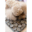 Schleckmatte für Hunde FuzzYard Life Sandstone