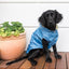 Regenmantel für Hunde FuzzYard Life French Blue