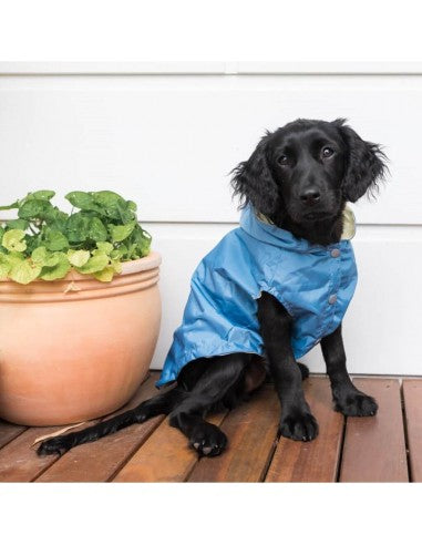 Regenmantel für Hunde FuzzYard Life French Blue