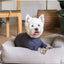 FuzzYard Life weicher Hundepyjama, Slate Grey