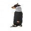 FuzzYard Cremorne Hunde-Kapuzenpullover, Schwarz (Größe 6)