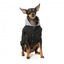 FuzzYard Cremorne Hunde-Kapuzenpullover, Schwarz (Größe 6)
