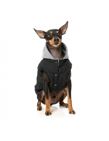 FuzzYard Cremorne Hunde-Kapuzenpullover, Schwarz (Größe 6)