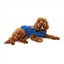 FuzzYard The Homies Hunde-Kapuzenpullover, Blau (Größe 1)