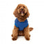 FuzzYard The Homies Hunde-Kapuzenpullover, Blau (Größe 1)