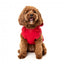 FuzzYard The Homies Hunde-Kapuzenpullover, Rot (Größe 1)