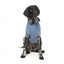 FuzzYard Treats Hunde-Kapuzenpullover, Blau (Größe 6)