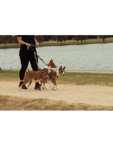 Kupplungsleine für zwei Hunde FuzzYard FY Active